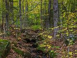 Burnt Rock 001